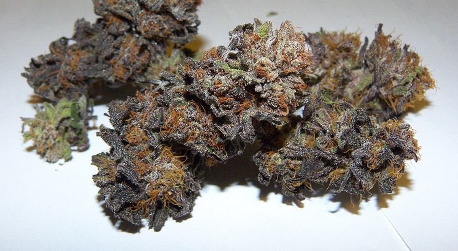 The Science Behind Cannabis Degradation