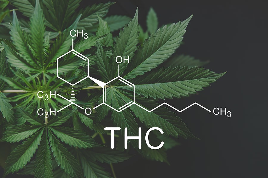 What THC Percentages Really Mean