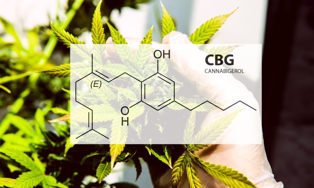 what is cbg